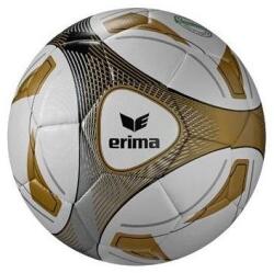 ERIMA labda (futball, Hybrid Training) 7192508-5