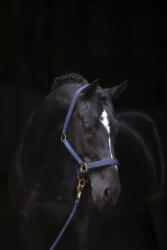 Kerbl Covalliero TopLine kötőfék - kék, pony