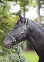 Kerbl Covalliero Cordano kötőfék - olivazöld, cob