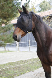 Kerbl Covalliero légymaszk fülvédő nélkül - cob