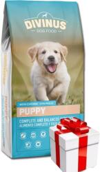DIVINUS Divinus Puppy 20kg + Meglepetés A Kutyádnak Ingynes