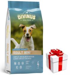 DIVINUS Divinus Adult mini for kisméretű fajtáknak 10kg + Meglepetés A Kutyádnak Ingynes