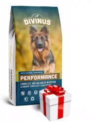 DIVINUS Divinus Performance német juhászkutyáknak 10kg + Meglepetés A Kutyádnak Ingynes