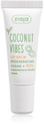 Ziaja Coconut Vibes ajakbalzsam regeneráló hatással 10 ml