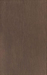 Zalakerámia Csempe, Zalakerámia LEGNO S. BARNA 25X40 ZAL-ZBD 42038