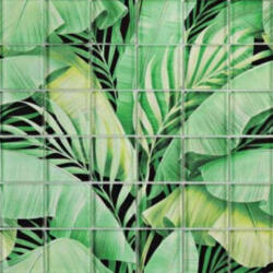 Aita Mozaik, Aita Palma-Z 29, 8x29, 8