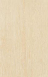 Zalakerámia Csempe, Zalakerámia LEGNO BEIGE 25X40 ZAL-ZBD 42035