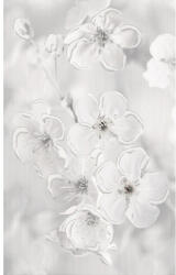 Zalakerámia Dekorlap, Zalakerámia BALANCE F-42091 BALANCE fényes dekor 25x40