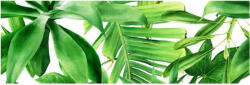 Valore Dekorlap, Valore GARDEN TROPIC DEKOR B RET 25x75