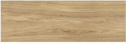 Valore Csempe, Valore DREAMWOOD GLOSSY RET 25x75