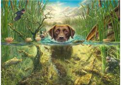 Schmidt Spiele 58572 - Dog's Life - Brown Labrador in the Cool Water - 1000 db-os puzzle (58572)
