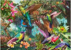 Schmidt Spiele 58869 - The Playful Colors of Hummingbirds - 1000 db-os puzzle (58869)