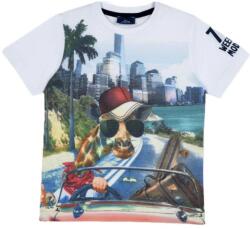 Chicco Boys Tee Multicolor Printed - dress4less