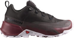 Salomon CROSS HIKE GTX 2 W Női kültéri cipők UK 6, 5