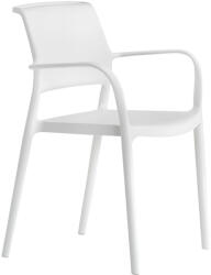 Pedrali Fehér műanyag étkezőszék Ara 315 (315_BI)