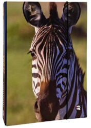 KARTON P+P Füzetbox A4 Zebra (796923)