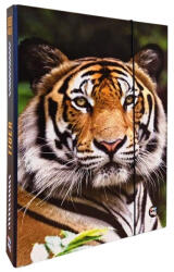 KARTON P+P Füzetbox A4 Tigris (792823)