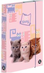 KARTON P+P A4 Háziállat 25 füzettartó box (5-69525)