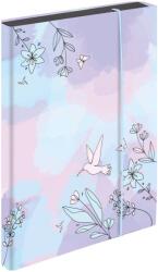 KARTON P+P A4 Jumbo Kolibri 25 füzettartó box (8-76325)