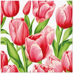 PAW Tulipánok papírszalvéta 33x33cm, 20 db-os Tulip Time