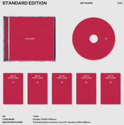 Le Sserafim Unforgiven - facethemusic - 6 190 Ft