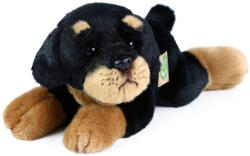 Rappa Rottweiler kutya plüss fekvő 30 cm