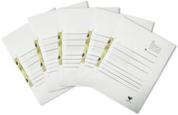 EXTE Dosar A4 din carton de incopciat 1/1, 100 buc/set EXTE PCKDOSIN101