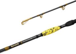 Delphin HAZARD BxG 310cm 505g Harcsázó Horgászbot
