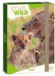 Ars Una Füzetbox ARS UNA A/4 Icons of the Wild-Lions (50855049) - tonerpiac