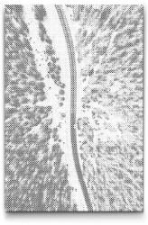  PontPöttyöző - Tirol Méret: 40x60cm, Keretezés: Keret nélkül (csak a vászon), Szín: Zöld