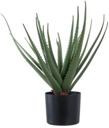 House Nordic művirág cserépben Aloe Vera zöld - zöld Univerzális méret