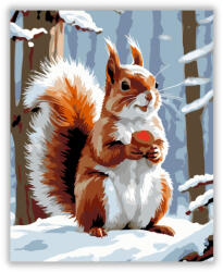 Számfestő Vörös Mókus - számfestő készlet (crea6120)