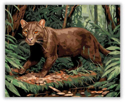  Jaguarundi az Erdő Mélyén - számfestő készlet