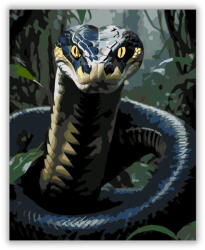  Királykobra a Dzsungelben - számfestő készlet