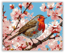  Vörösbegy a Virágzó Cseresznyefán - számfestő készlet