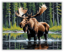  Jávorszarvas a Tiszta Tóban - számfestő készlet