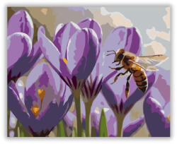  Méhecske a Tavaszi Krókuszon - számfestő készlet