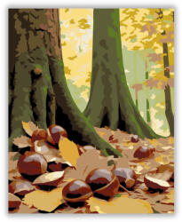  Őszi Gesztenyés Erdő - számfestő készlet