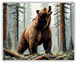  Barnamedve az Erdő Mélyén - számfestő készlet