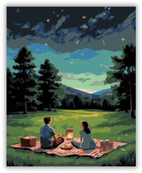  Csillagos Nyári Éj a Réten - számfestő készlet