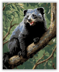  Binturong a Dzsungelben - számfestő készlet