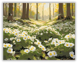  Primulák Erdei Réten - számfestő készlet