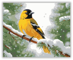  Havas Ágon Ülő Sárga Oriole - számfestő készlet