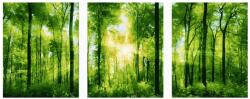 Makana Erdei napsugarak - Többrészes számfestő, kerettel (50x120 cm)