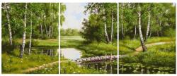 Makana Nyírfák a patakparton - Többrészes számfestő, kerettel (50x120 cm)
