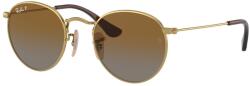 Ray-Ban RJ9547S 223/T5 JUNIOR ROUND Arista Gold Brown napszemüveg (RJ9547S 223 T5)
