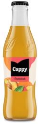 Cappy Gyümölcslé CAPPY Őszibarack 40% üveges 0, 25L DRS (117707) - vectraline