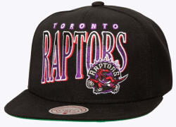 Mitchell & Ness Toronto Raptors Line Work Snapback black
