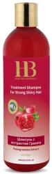 HB Dead Sea Minerals Sampon cu extract de rodii pentru par puternic si stralucitor, Health and Beauty Marea Moarta, 400 ml