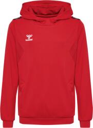 Hummel HMLAUTHENTIC PL HOODIE KIDS Kapucnis melegítő felsők 219977-3062 Méret 152 219977-3062